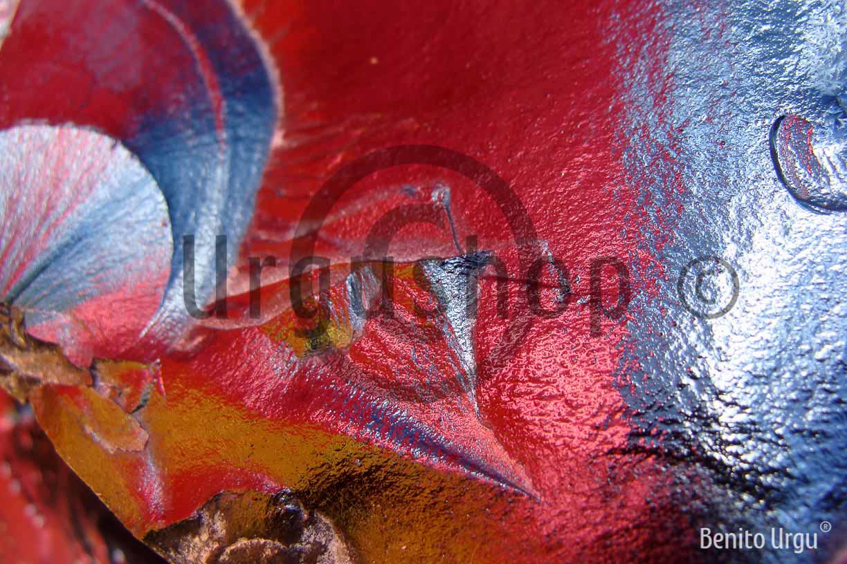 Urgupaint